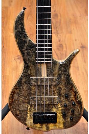 F Bass BN5 Buckeye Burl F Bass BN5 Buckeye Burl