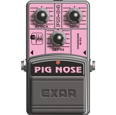 Exar Pignoise