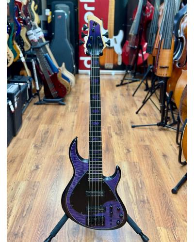 Meridian J24-5 Tiger Maple Purple