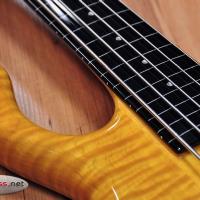 Pedulla Pentabuzz Gold (used)