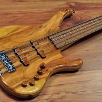 KD Basses Rev II 5str. Plum tree series