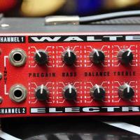 Walter Woods Electracoustic M-100