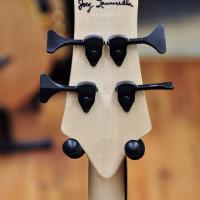 Fodera Monarch Standard Special 4 Walnut Hollowbody Limited Edition Doctorbass 2020