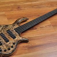 Elrick Gold Series e-volution 5 Fretless Black Spalted Maple Burl Top