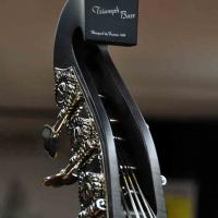 Warwick Triumph Upright 5 Nirvana Black