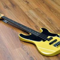 Schecter Model T