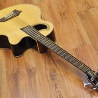 Warwick Rockbass Alien Standard 5