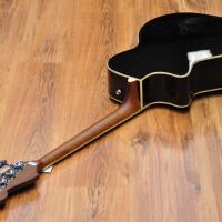 Fender Kingman Bass V2 JTB WN