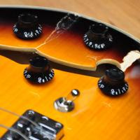 Warwick Rockbass Starbass II 5 Sunburst Fretless