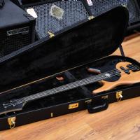 Fodera Yin Yang 4 Standard Special