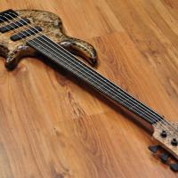 Elrick Gold Series e-volution 5 Fretless Black Spalted Maple Burl Top