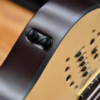 Godin A5 Ultra Natural Fretless A/E