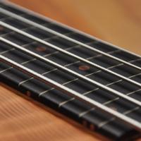 Fodera Monarch Std Special Doctorbass Edition Lined Fretless Ebony Board 5 string 17.5mm spacing-Oak Neck-Figured Redwood top