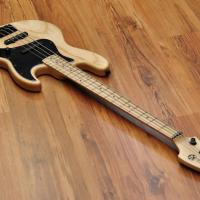 Maruszczyk Elwood 4a Human Nature