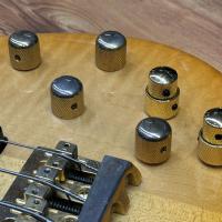 Yamaha TRB5P Amber 90's