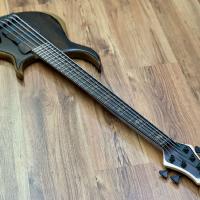 Meridian Aural II-5 Ziricote