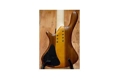 Jerzy Drozd Excellency V ambar detras -  Jerzy Drozd Excellency V ambar detras -