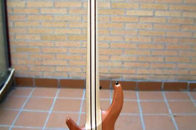 Progress III Detrás - Progress III Detrás -