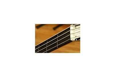 Diapasón con marcas - Diapasón con marcas -