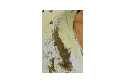 Sandberg JM detras - Sandberg JM detras -