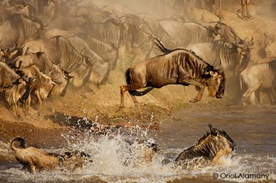 borrame -  borrame -