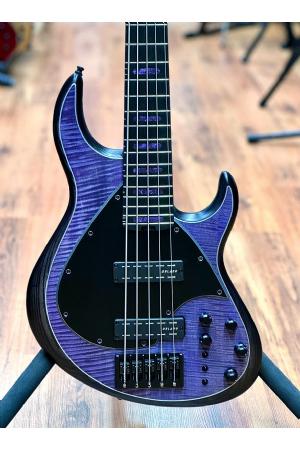 Meridian J24-5 Tiger Maple Purple Meridian J24-5 Tiger Maple Purple