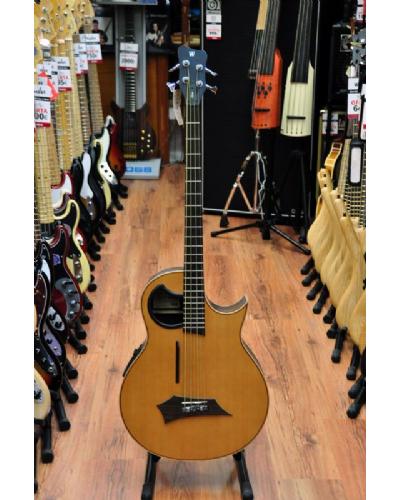 Warwick Alien 4 fretted