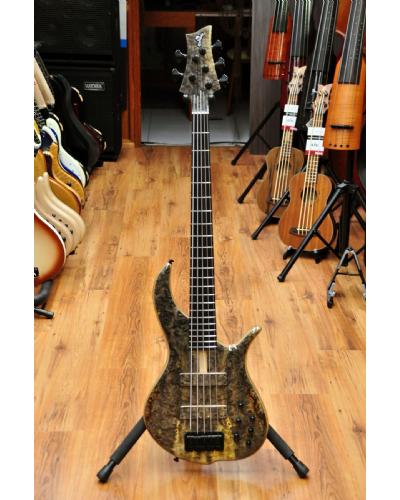 F Bass BN5 Buckeye Burl