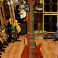 Elvira Singlecut 6 fretless