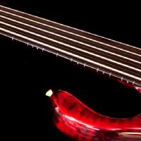 Pedulla Pentabuzz unlined