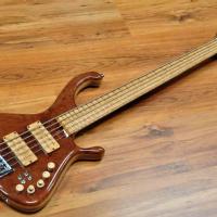 Egilegor Biadar 5 Hollow