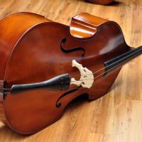 Gewa Basic Line Hybrid Double Bass
