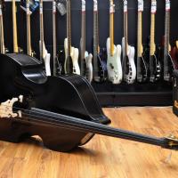 Gewa Rockabilly Double Bass Special Set up