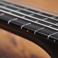 Warwick Rockbass Starbass II 5 Sunburst Fretless