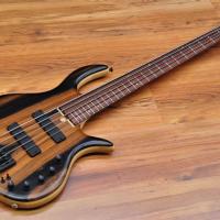 Elrick Gold Series e-volution 5 Exotic Ebony Top