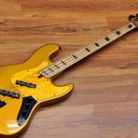 Maruszczyk Elwood 4p Goldfinger Multiscale