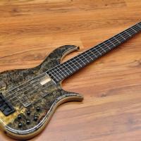 F Bass BN5 Buckeye Burl