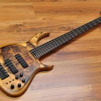 Meridian Aural II Old Italian Walnut 5 string