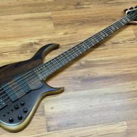 Meridian Aural II-5 Ziricote