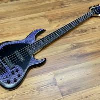 Meridian J24-5 Tiger Maple Purple