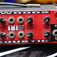 Walter Woods Electracoustic M-100