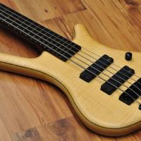 Warwick Corvette Special Edition 5