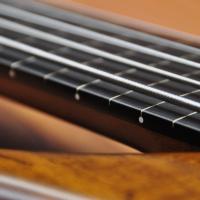 Marleaux Consat SE 5 string Fretless (lined) Limited Edition-Anniversary Serial#2516