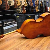 Gewa Premium Line Hybrid Double Bass 3/4