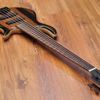 Elrick Gold Series e-volution 5 Exotic Ebony Top