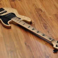 Maruszczyk Elwood 5p Human Nature