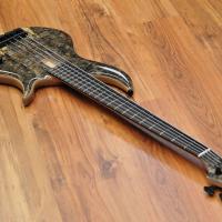 F Bass BN5 Buckeye Burl