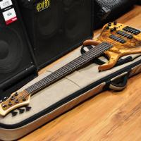 Meridian Aural II Old Italian Walnut 5 string