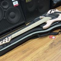 Dingwall Combustion N32 Adam 'Nolly' Getgood 6 String Shell Pink