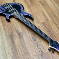 Meridian J24-5 Tiger Maple Purple